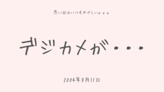デジカメが・・・