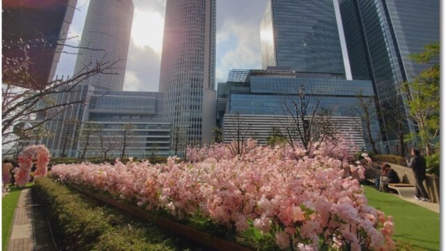 【大名古屋ビルヂング「SAKURA 6th ANNIVERSARY」サクラスカイガーデン先行公開に行ってきました♪】