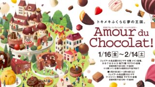 【アムール・デュ・ショコラ】数年ぶりに参戦！【ジェイアール名古屋タカシマヤ】